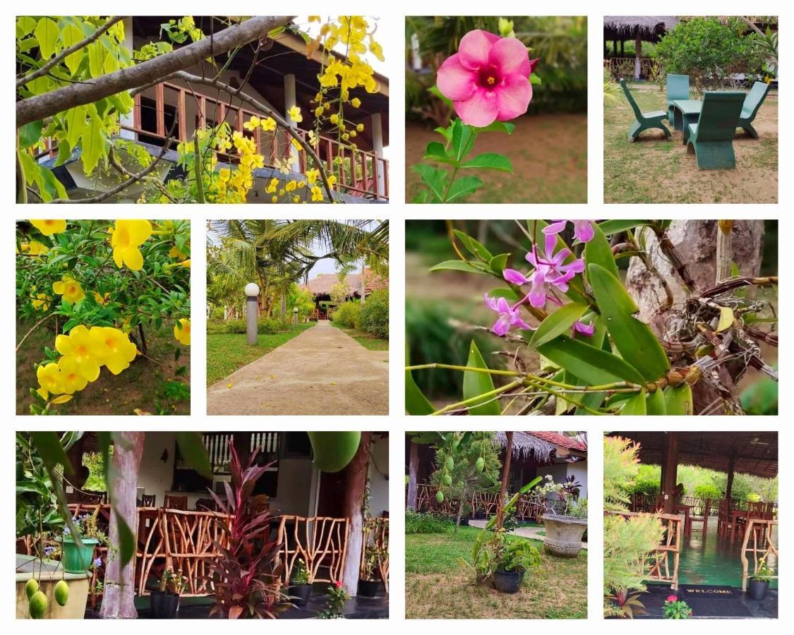 Pearl Cave Cabanas & Resturant Tangalle Exterior photo